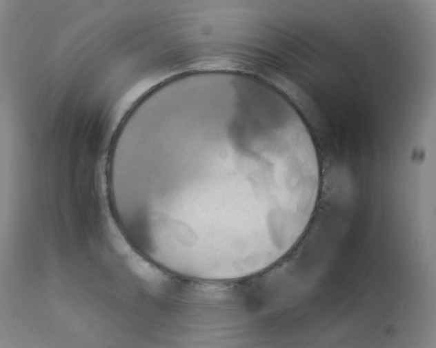 X0000113071086200910091202
