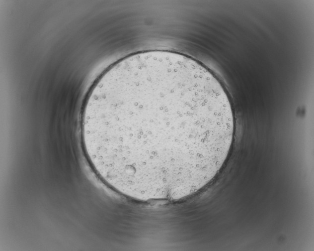 X0000113071088200910091202