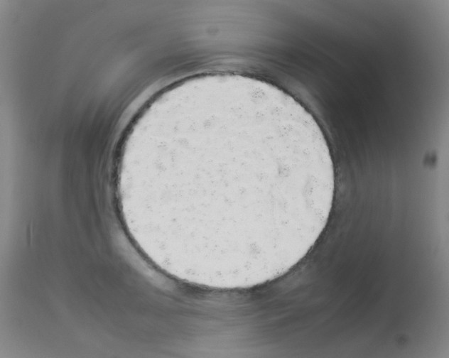 X0000113071091200910091202