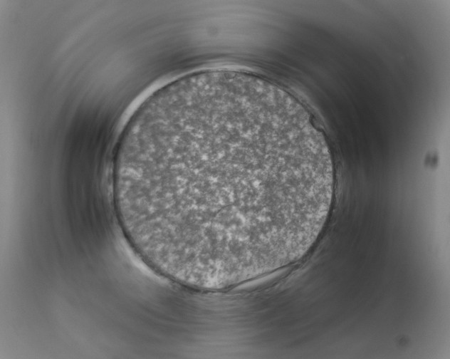 X0000113071092200910091202