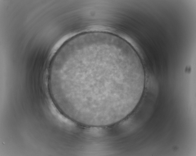 X0000113071094200910091202