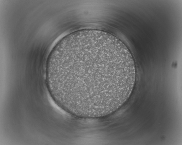 X0000113071095200910091202