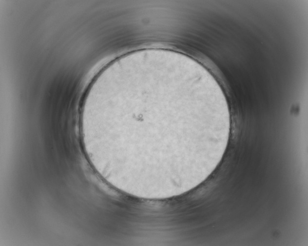X0000113071096200910091202