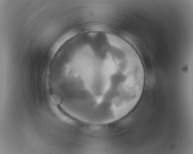 X0000113071098200910091202