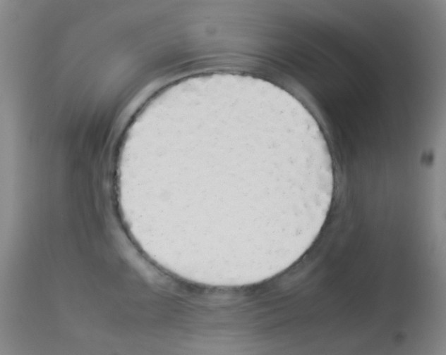 X0000113071099200910091202