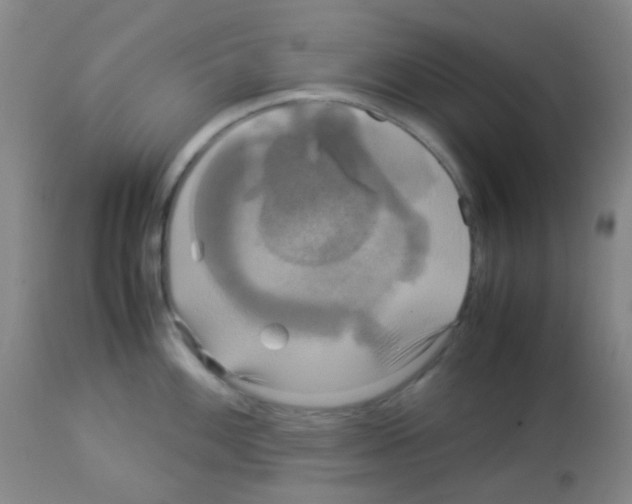 X0000113071100200910091201