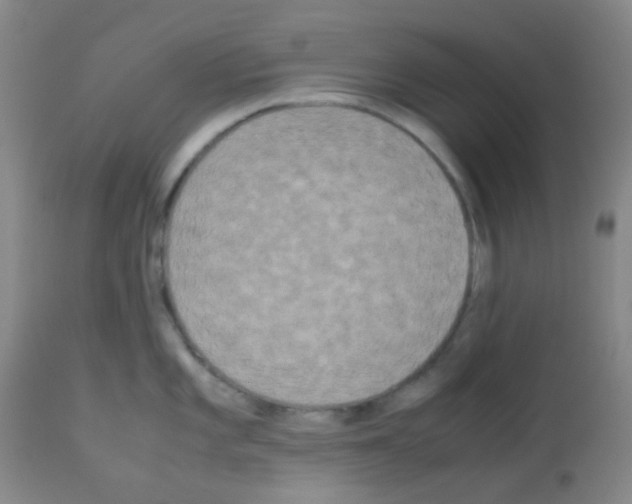 X0000113071101200910091201