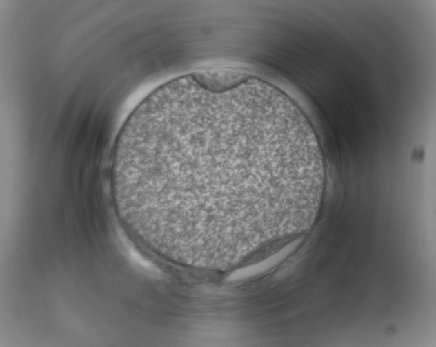 X0000113071102200910091201