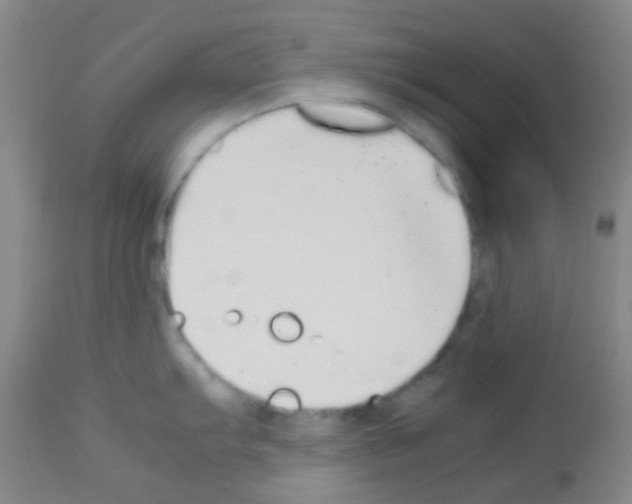 X0000113071103200910091201