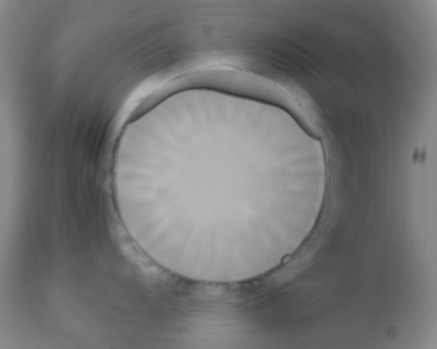 X0000113071104200910091201