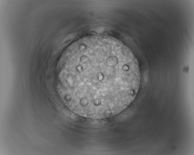 X0000113071105200910091201