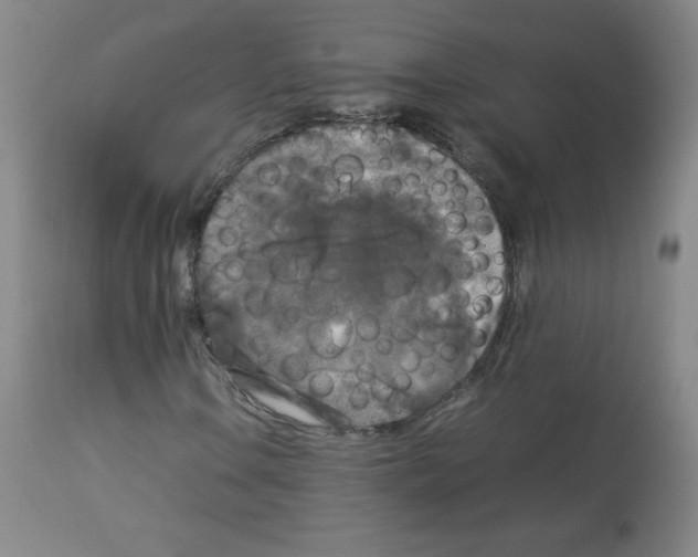X0000113071106200910091201
