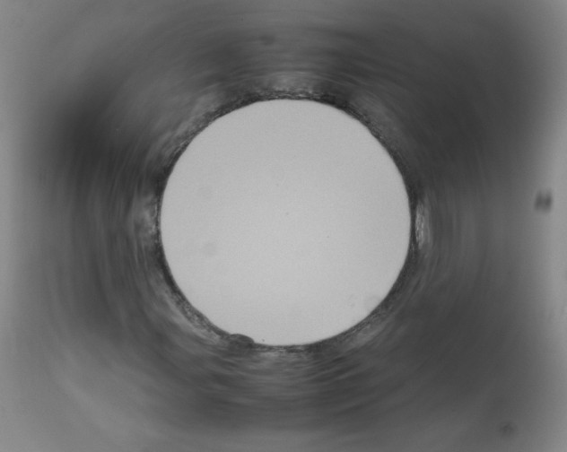 X0000113071107200910091201