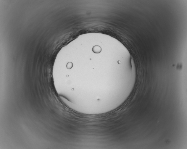 X0000113071108200910091201