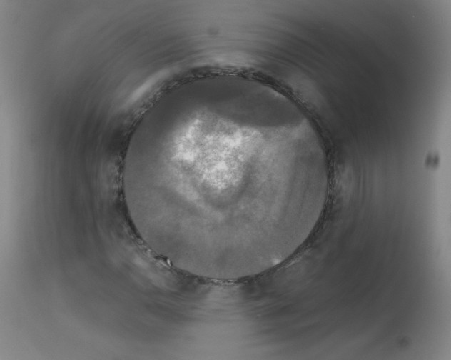 X0000113071110200910091201