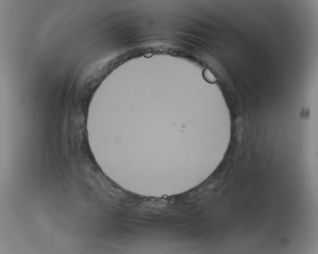 X0000113071111200910091201