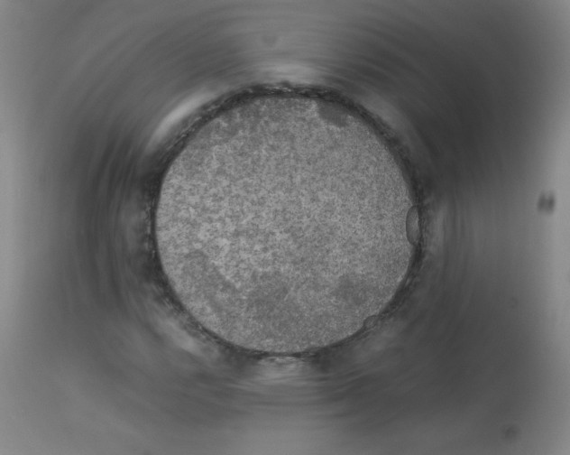 X0000113071112200910091201