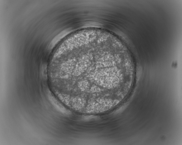 X0000113071113200910091201