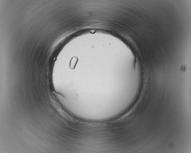 X0000113071114200910091201