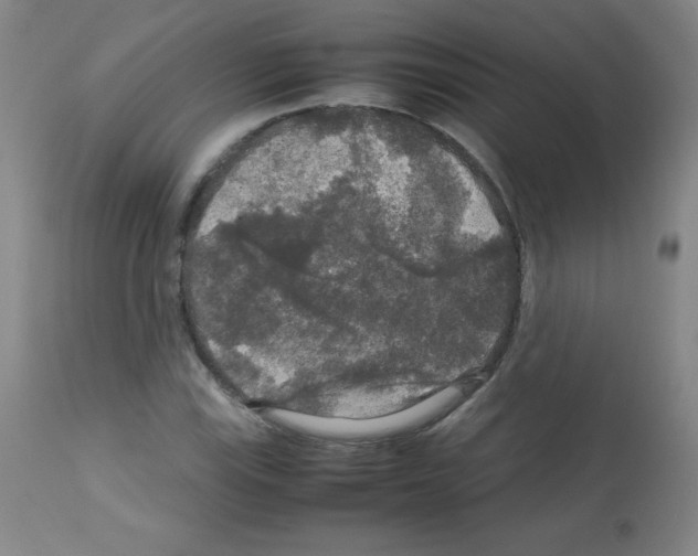 X0000113071115200910091201