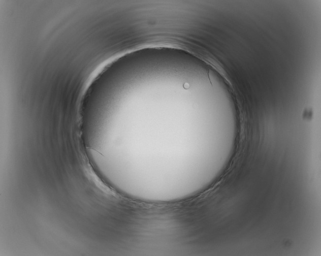 X0000113071116200910091201