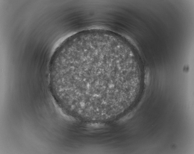 X0000113071117200910091201