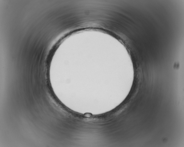 X0000113071118200910091201