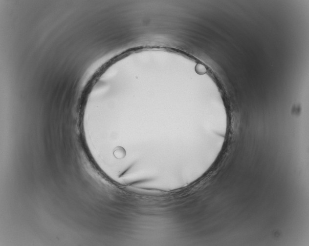 X0000113071120200910091201