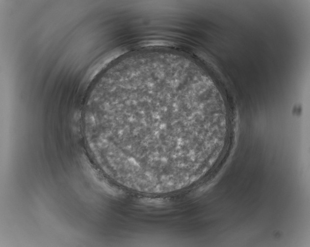X0000113071121200910091201