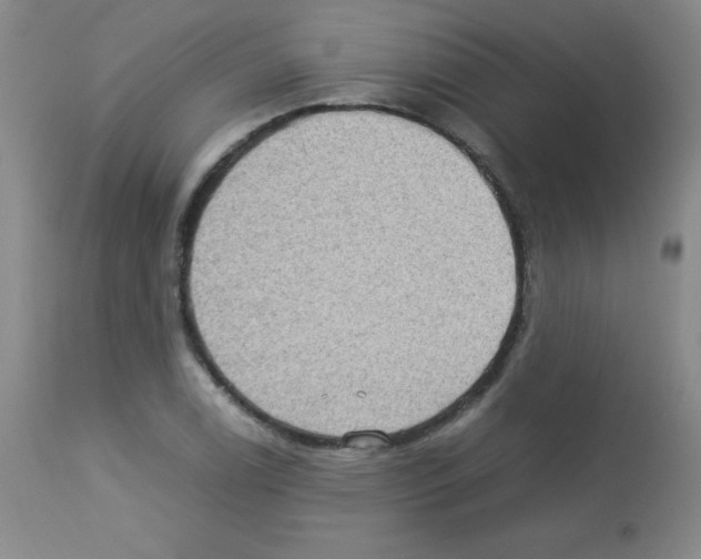 X0000113071122200910091201