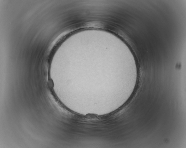 X0000113071123200910091201