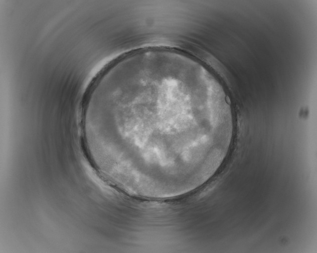 X0000113071124200910091201
