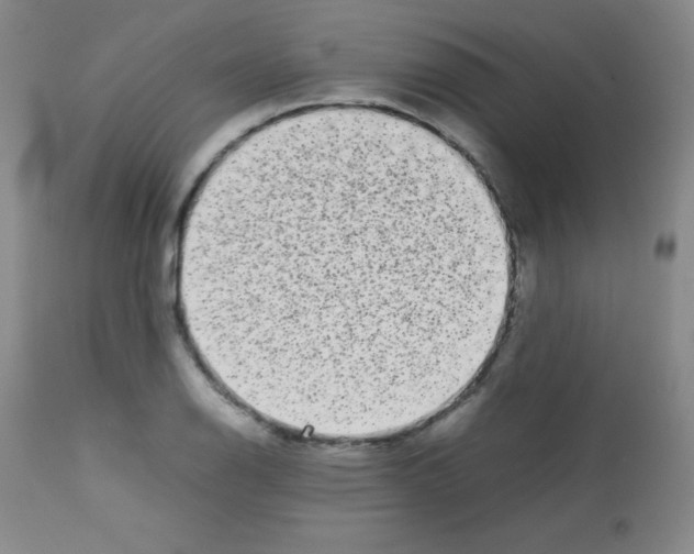 X0000113071126200910091201