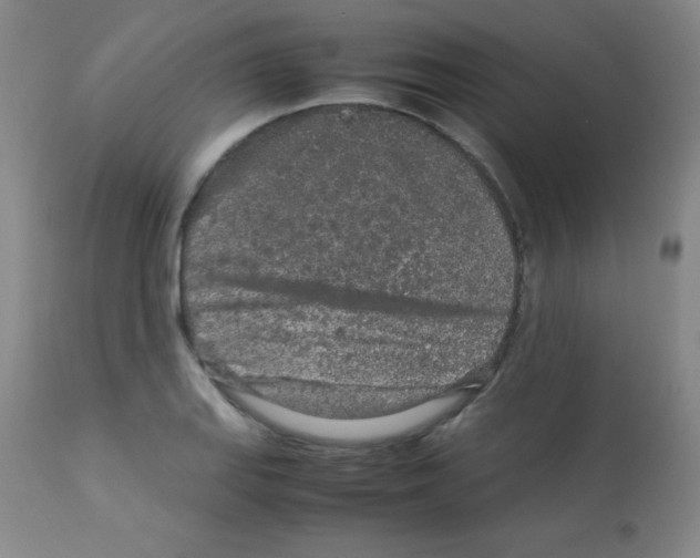 X0000113071127200910091201