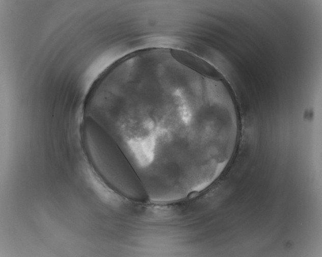 X0000113071128200910091201