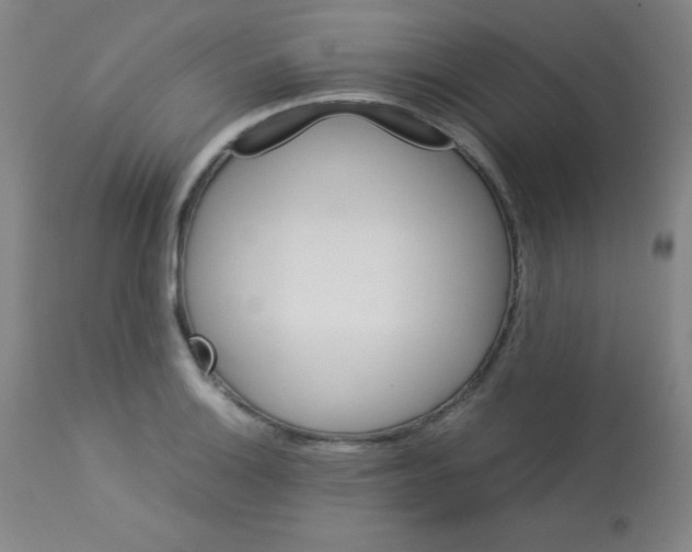 X0000113071132200910091201