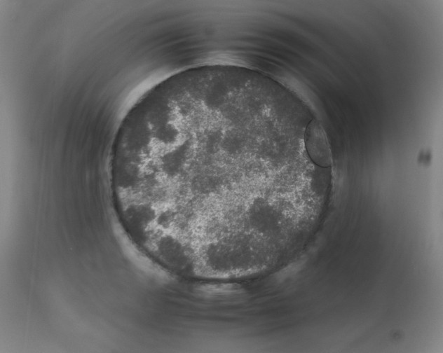 X0000113071133200910091201