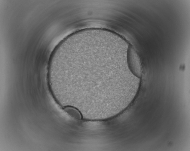 X0000113071134200910091201
