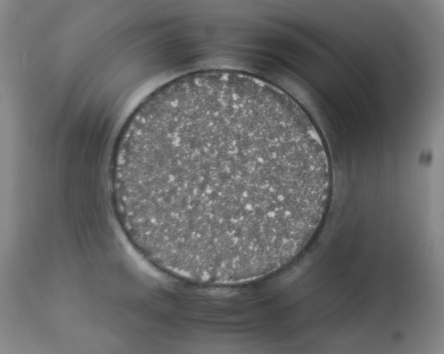 X0000113071141200910091201