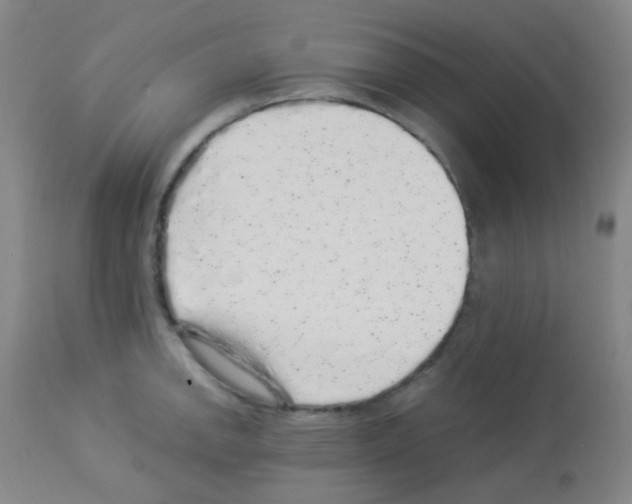 X0000113071142200910091201