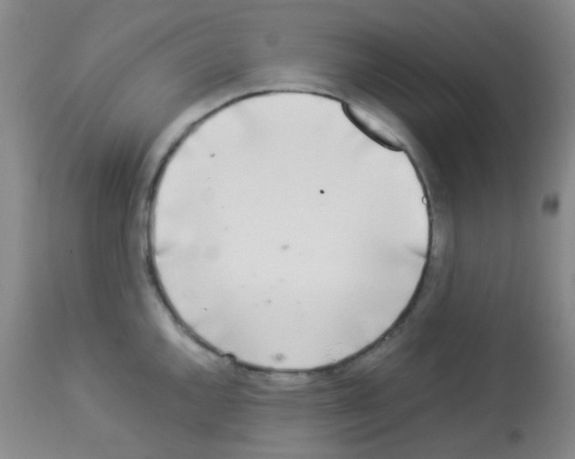 X0000113071144200910091201