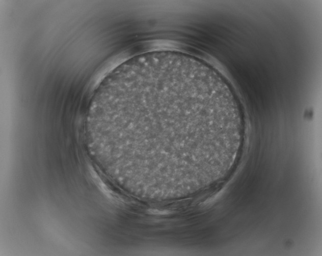X0000113071145200910091201