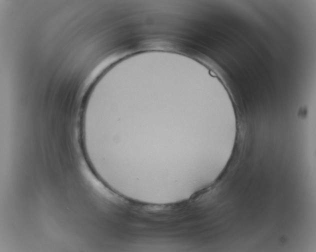 X0000113071147200910091201