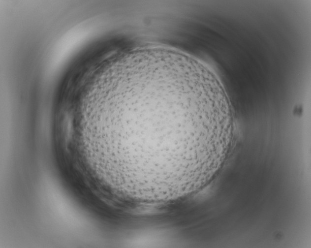 X0000113071150200910091201