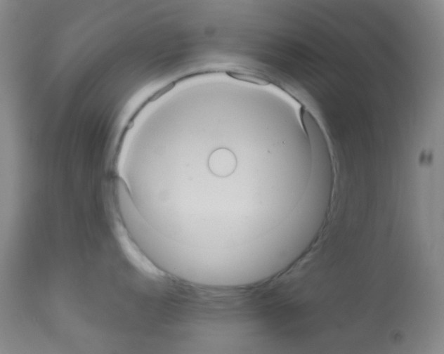 X0000113071152200910091201