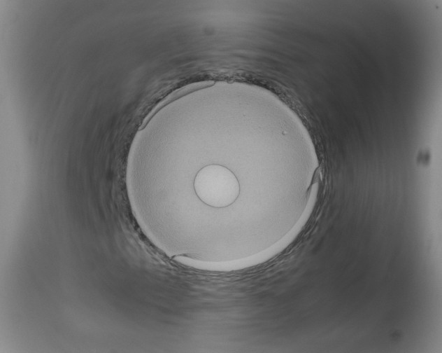X0000113071153200910091201
