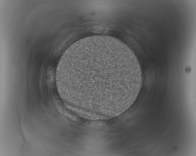 X0000113071154200910091201