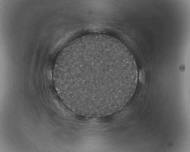 X0000113071155200910091201
