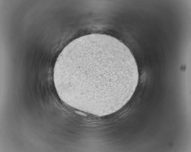 X0000113071156200910091201
