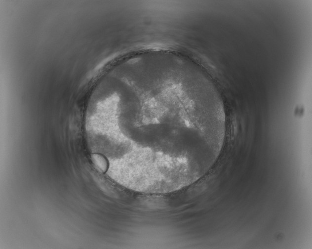 X0000113071158200910091201